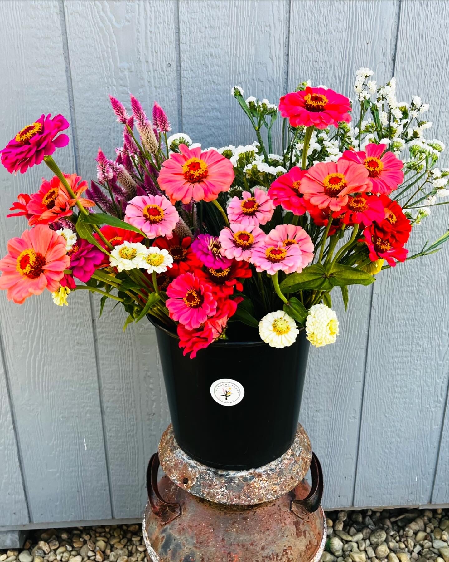 Farmer's Choice Mixed Bucket