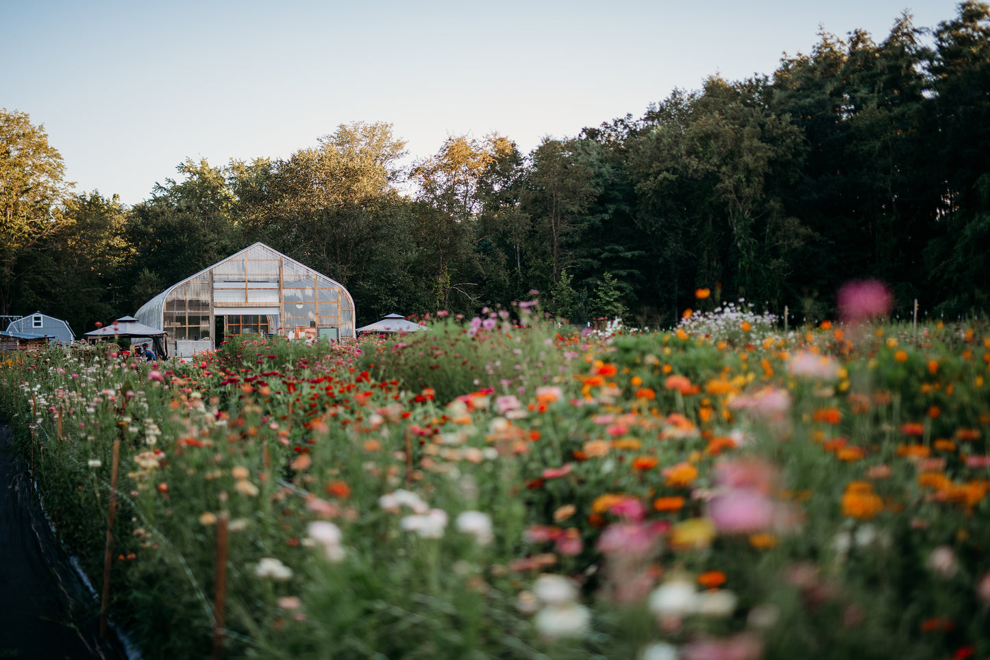 Private Farm Photoshoots