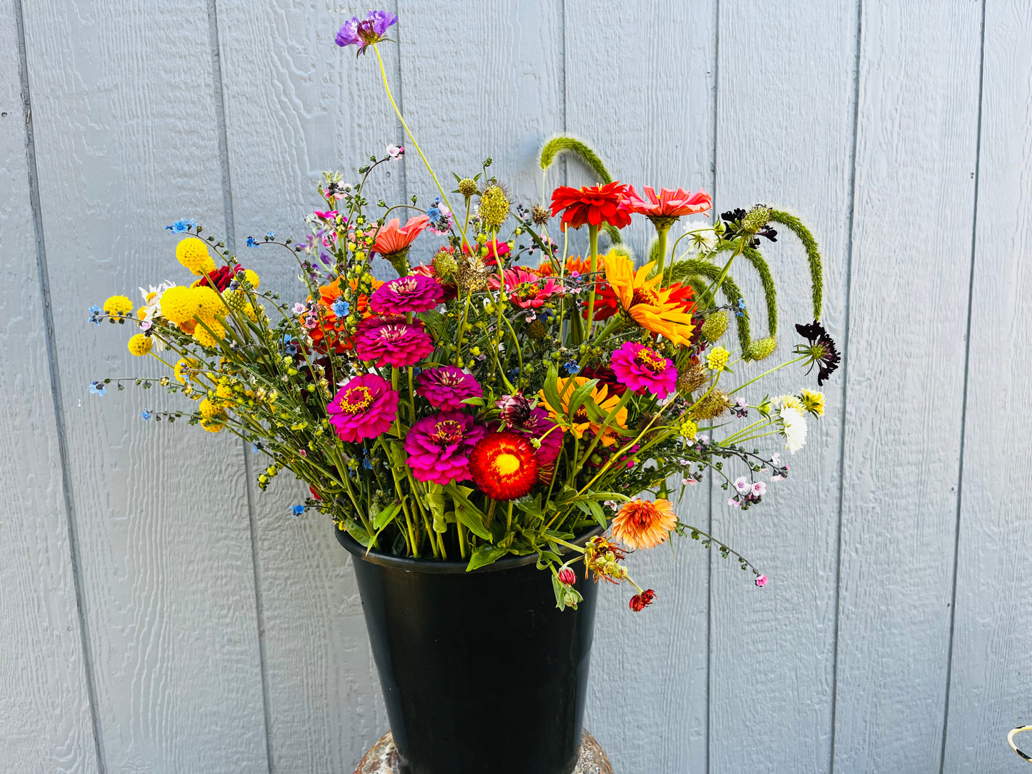 Farmer's Choice Mixed Bucket