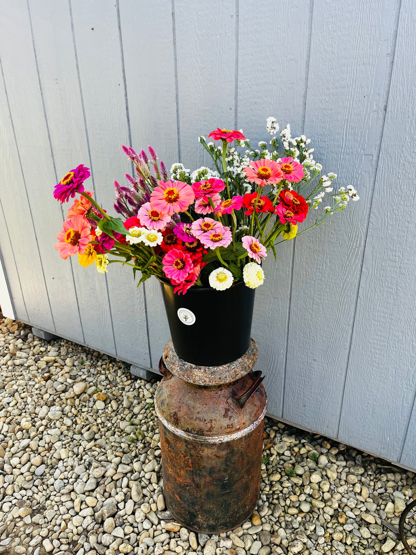 Farmer's Choice Mixed Bucket