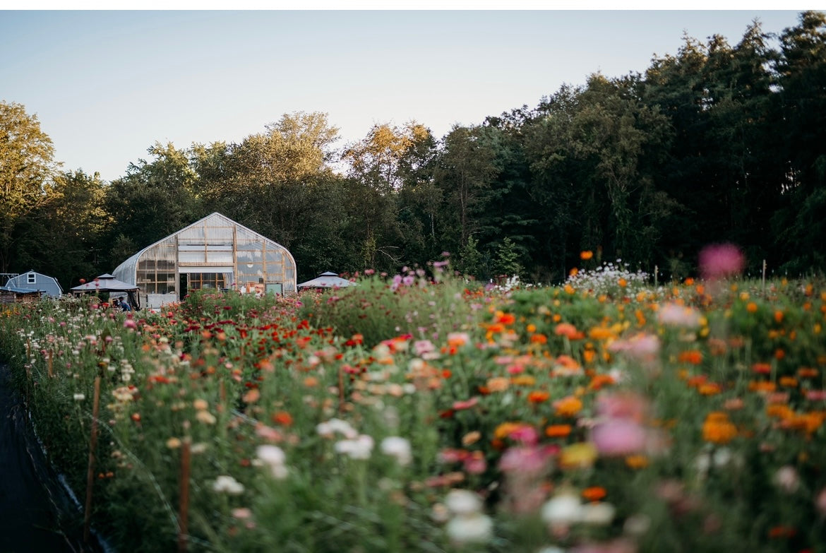 Golden Hour Bouquet Build - July 30th