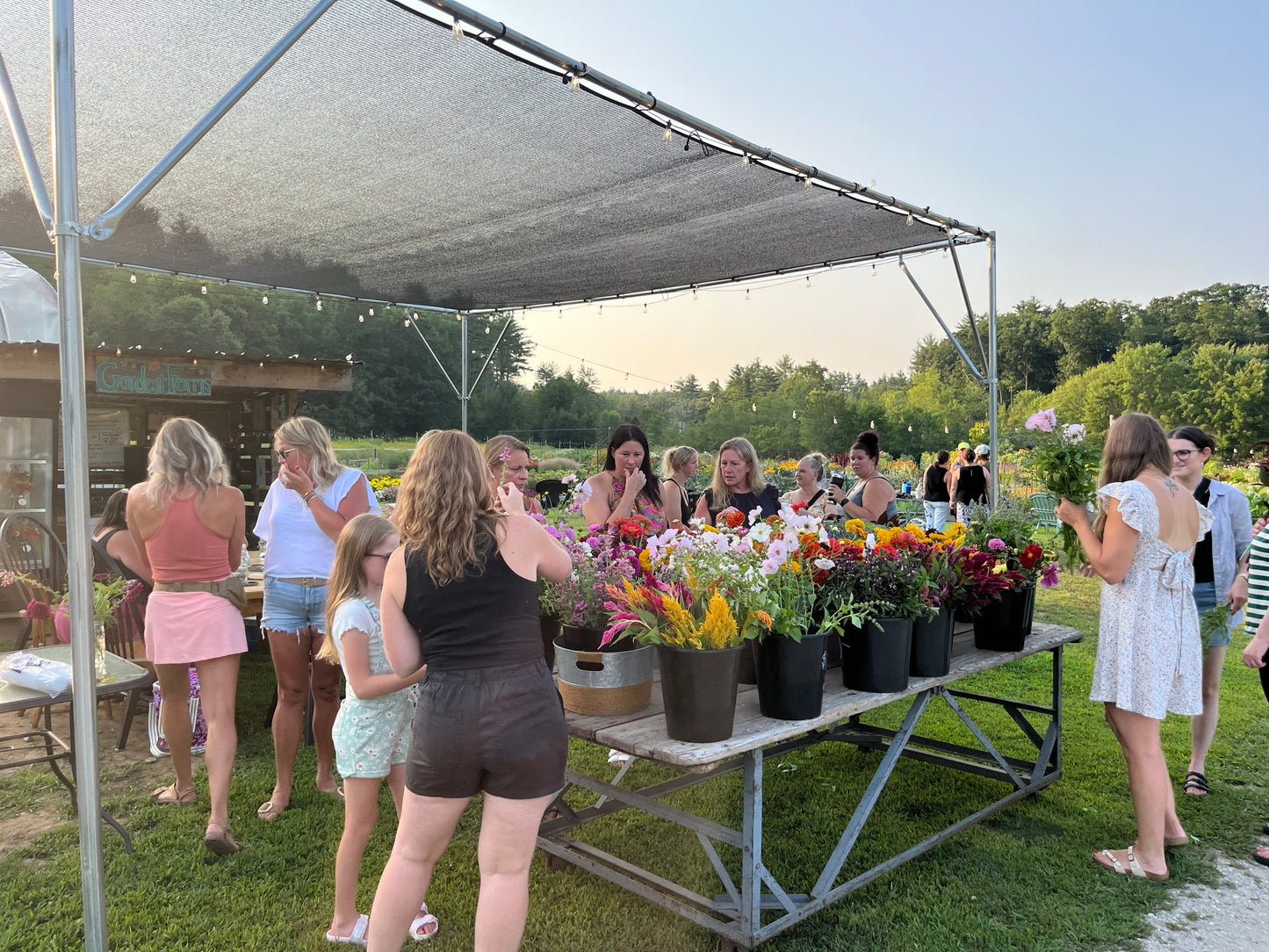 Golden Hour Bouquet Build - July 30th