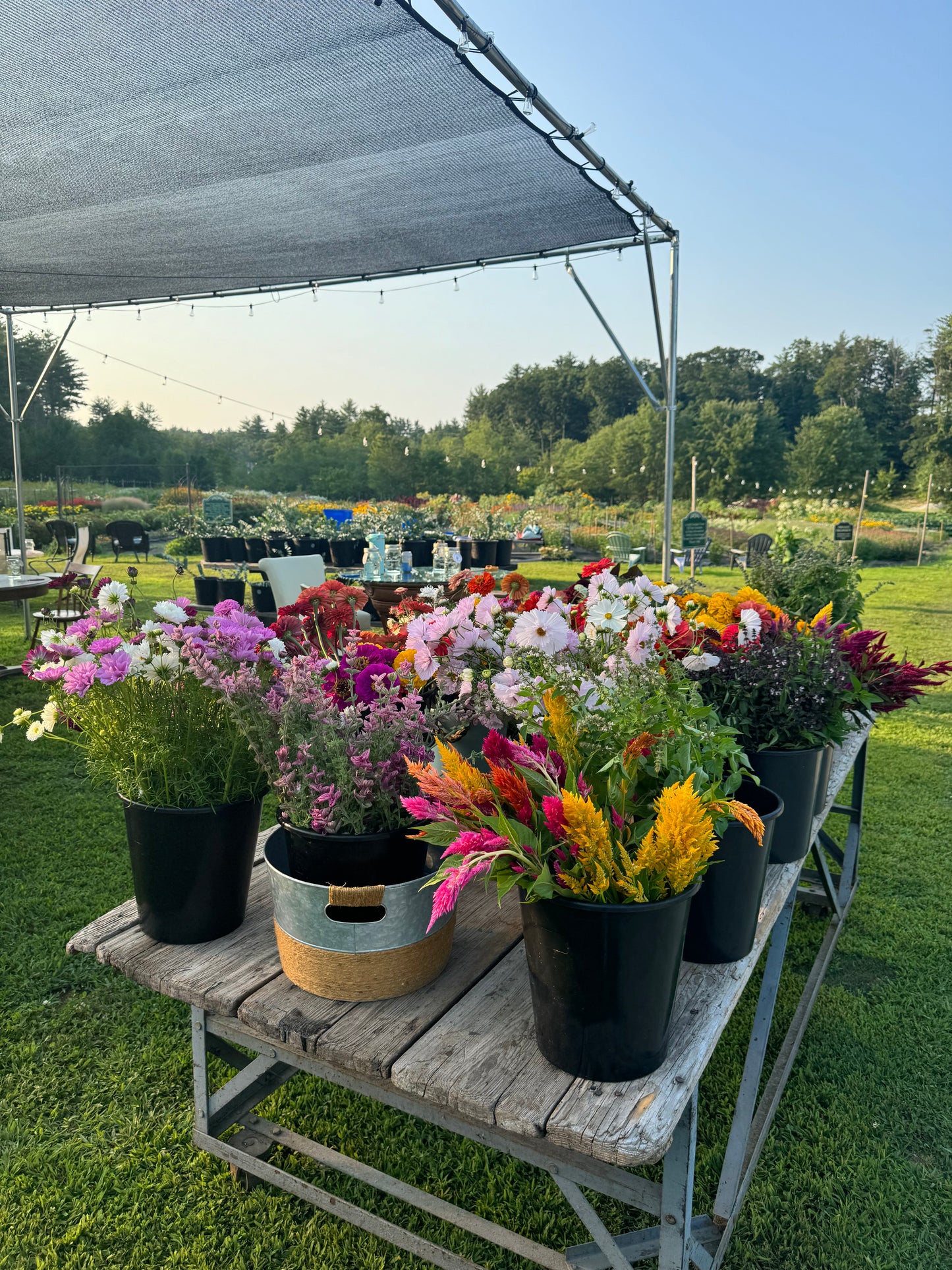 Golden Hour Bouquet Build - July 30th