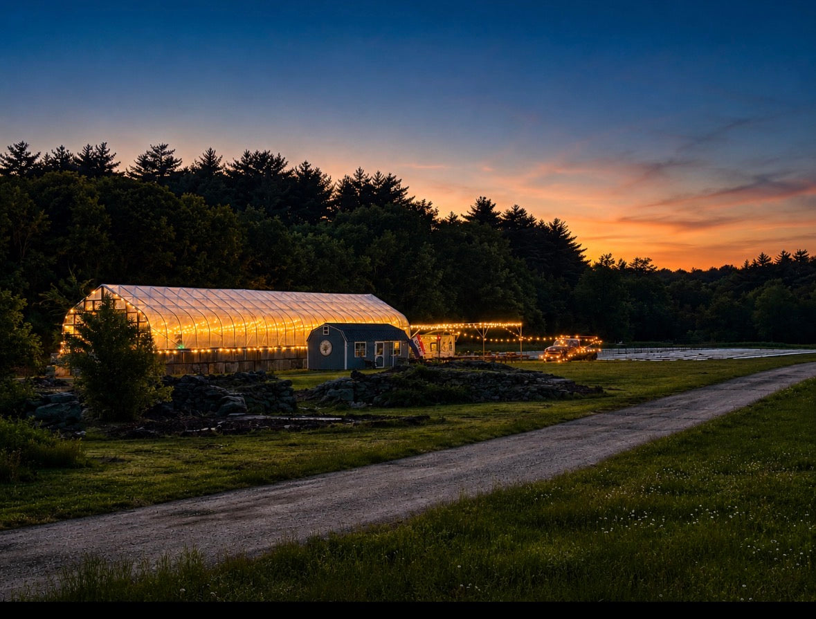 🌕 Full Moon Slow Flow & Sound Bath in the Greenhouse | June 29