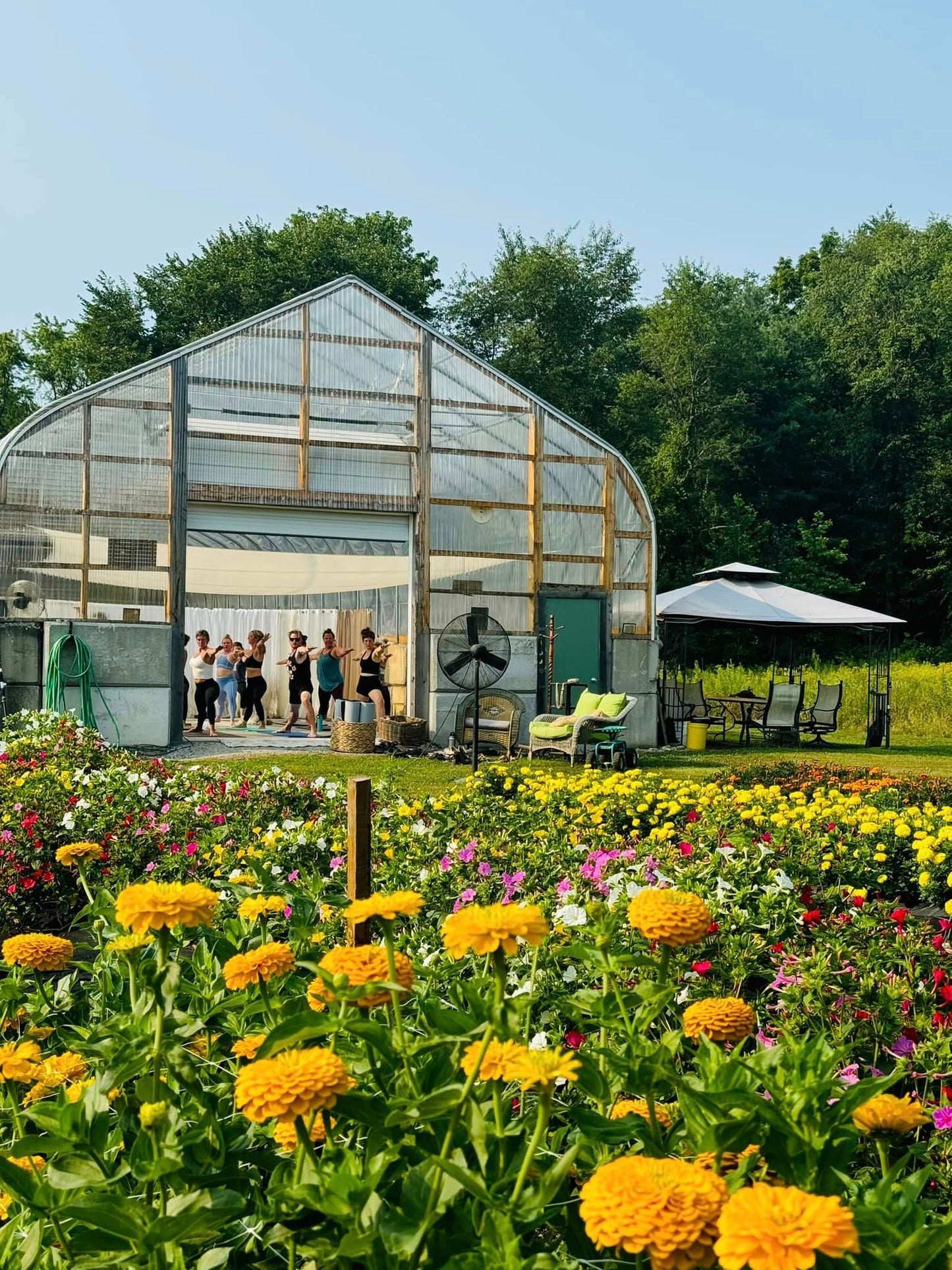 Vinyasa Yoga & Guided Meditation in the Greenhouse