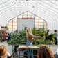 Holiday Wreaths in The Greenhouse November 21st