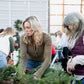 Holiday Wreaths in The Greenhouse November 21st