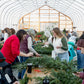 Holiday Wreaths in The Greenhouse November 21st