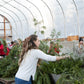 Holiday Wreaths in The Greenhouse November 21st