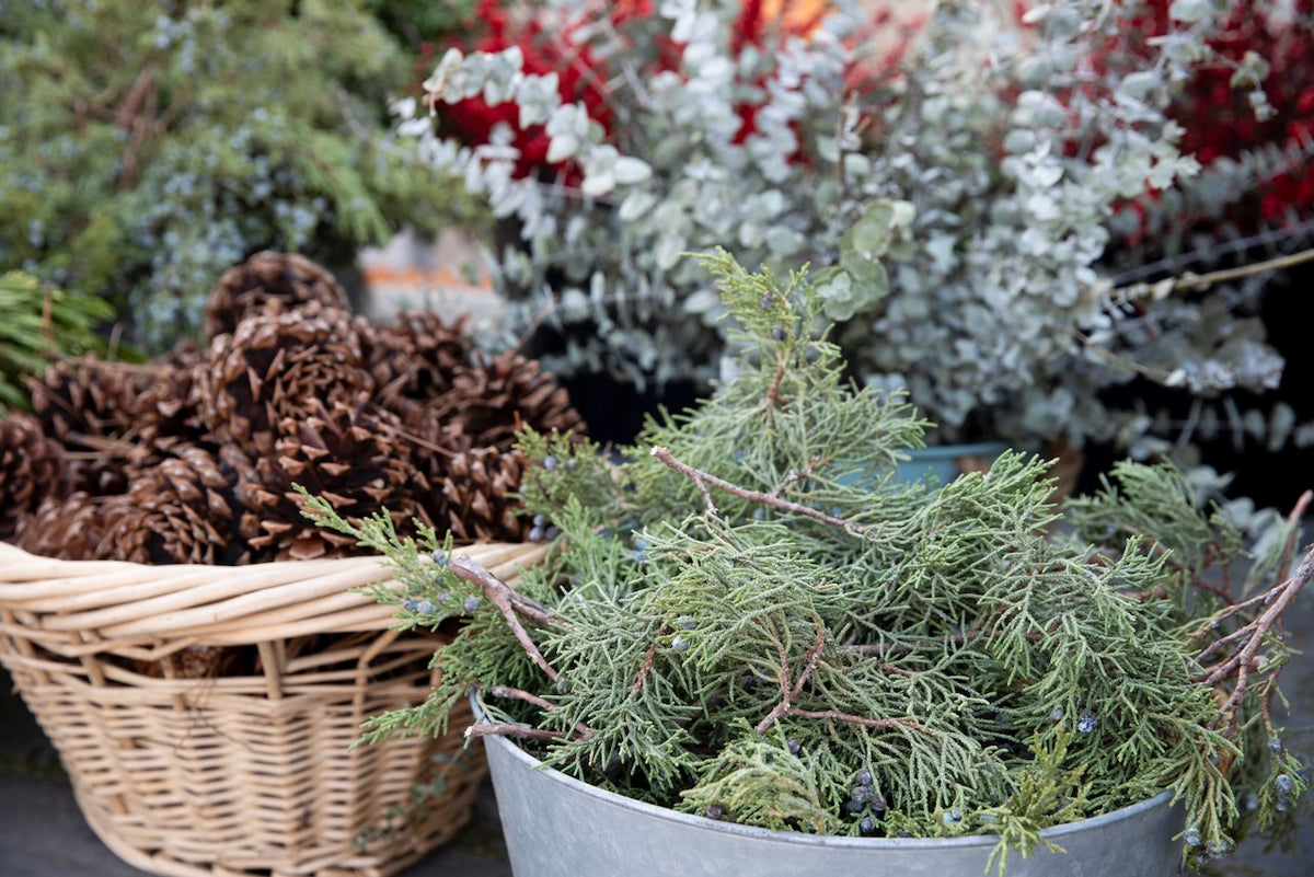 Holiday Wreaths in The Greenhouse November 21st