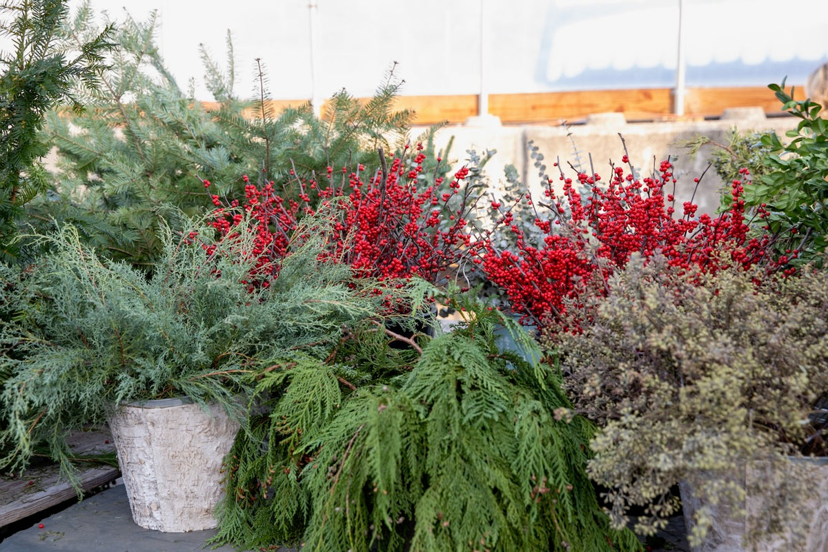 Holiday Wreaths in The Greenhouse November 21st