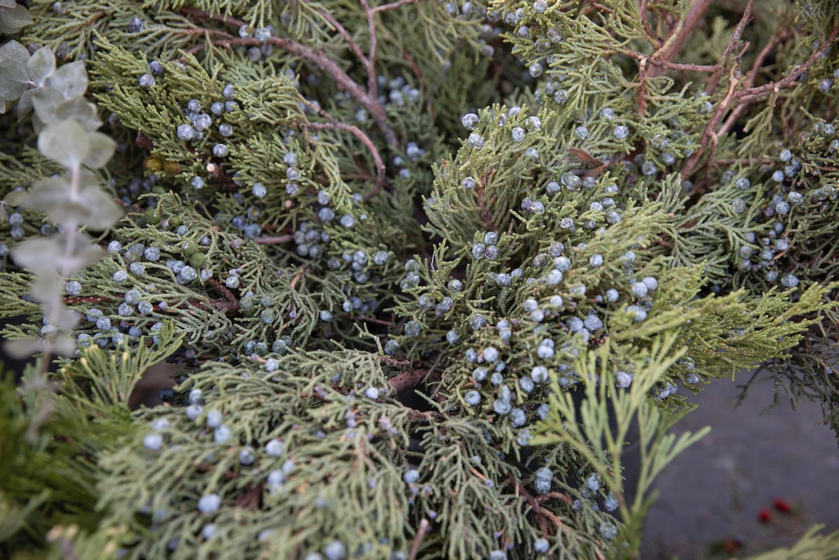 Holiday Wreaths in The Greenhouse November 21st