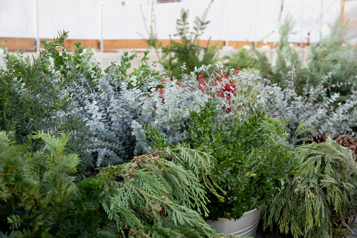 Holiday Wreaths in The Greenhouse November 21st