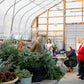 Holiday Wreaths in The Greenhouse November 21st