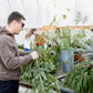 Holiday Wreaths in The Greenhouse November 21st