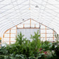 Holiday Wreaths in The Greenhouse November 21st