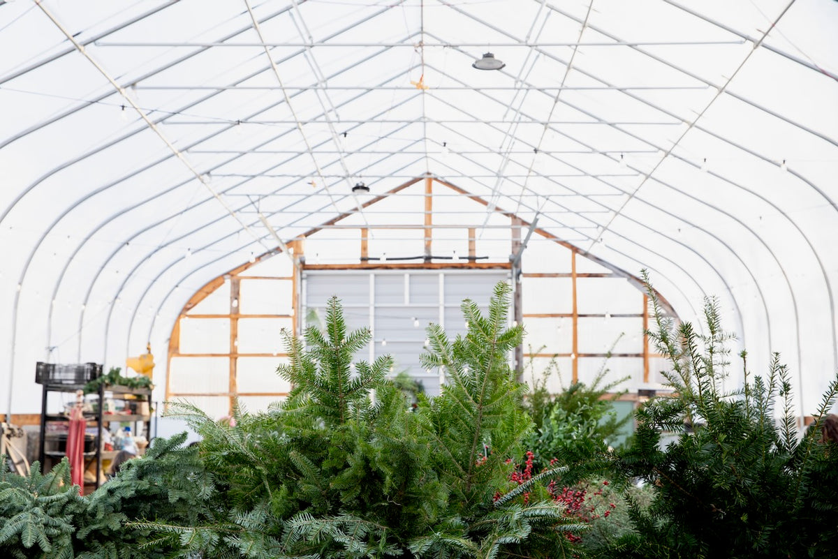 Holiday Wreaths in The Greenhouse November 21st