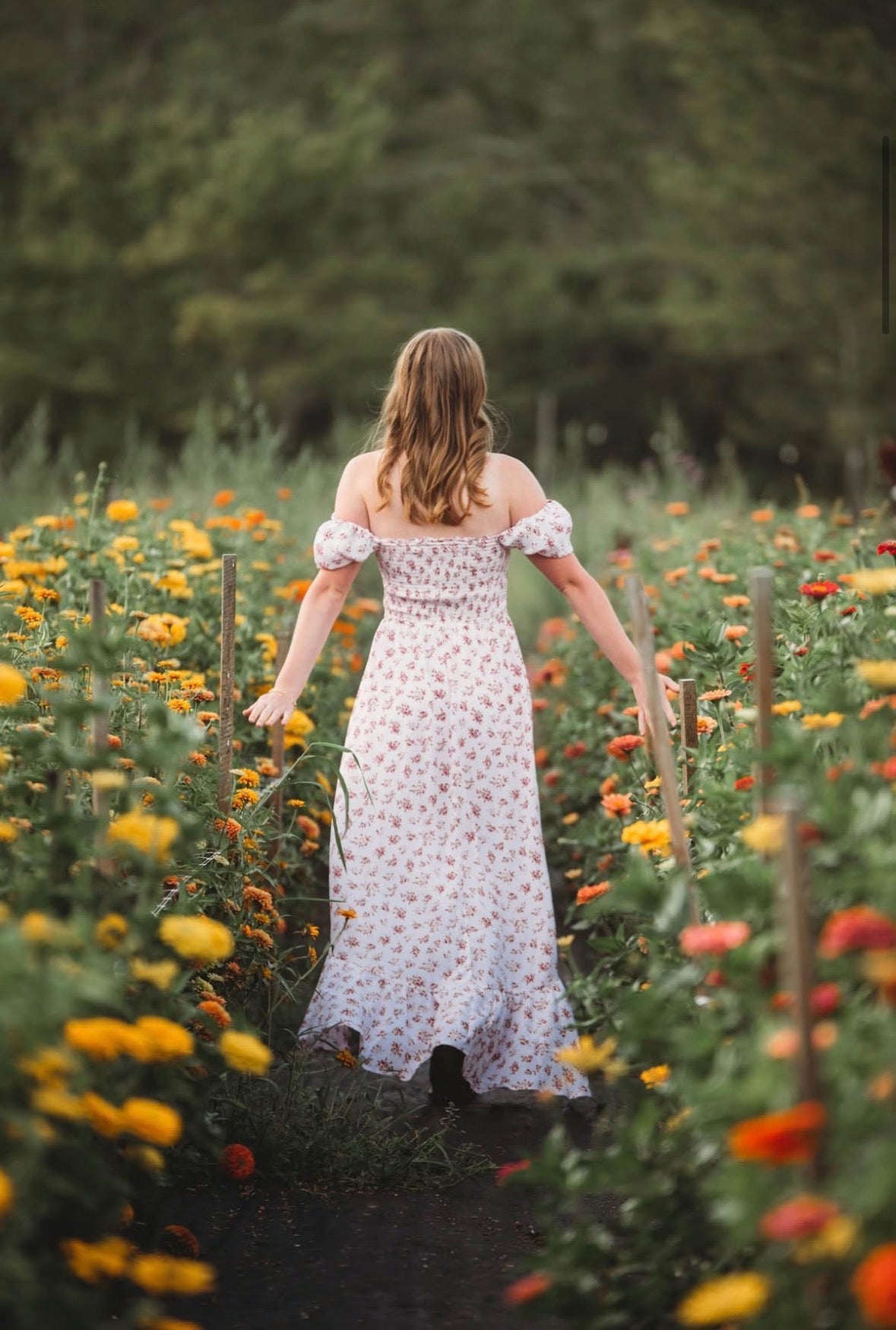 Private Photography Sessions - Gardent Farms