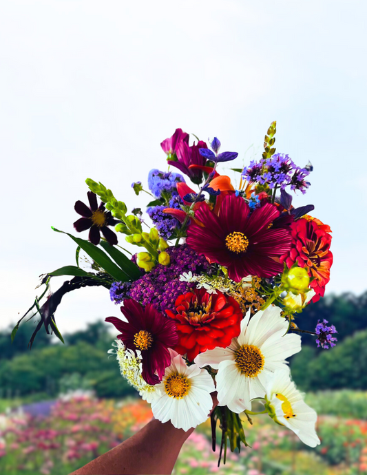 8 Week Summer Bouquet Subscription