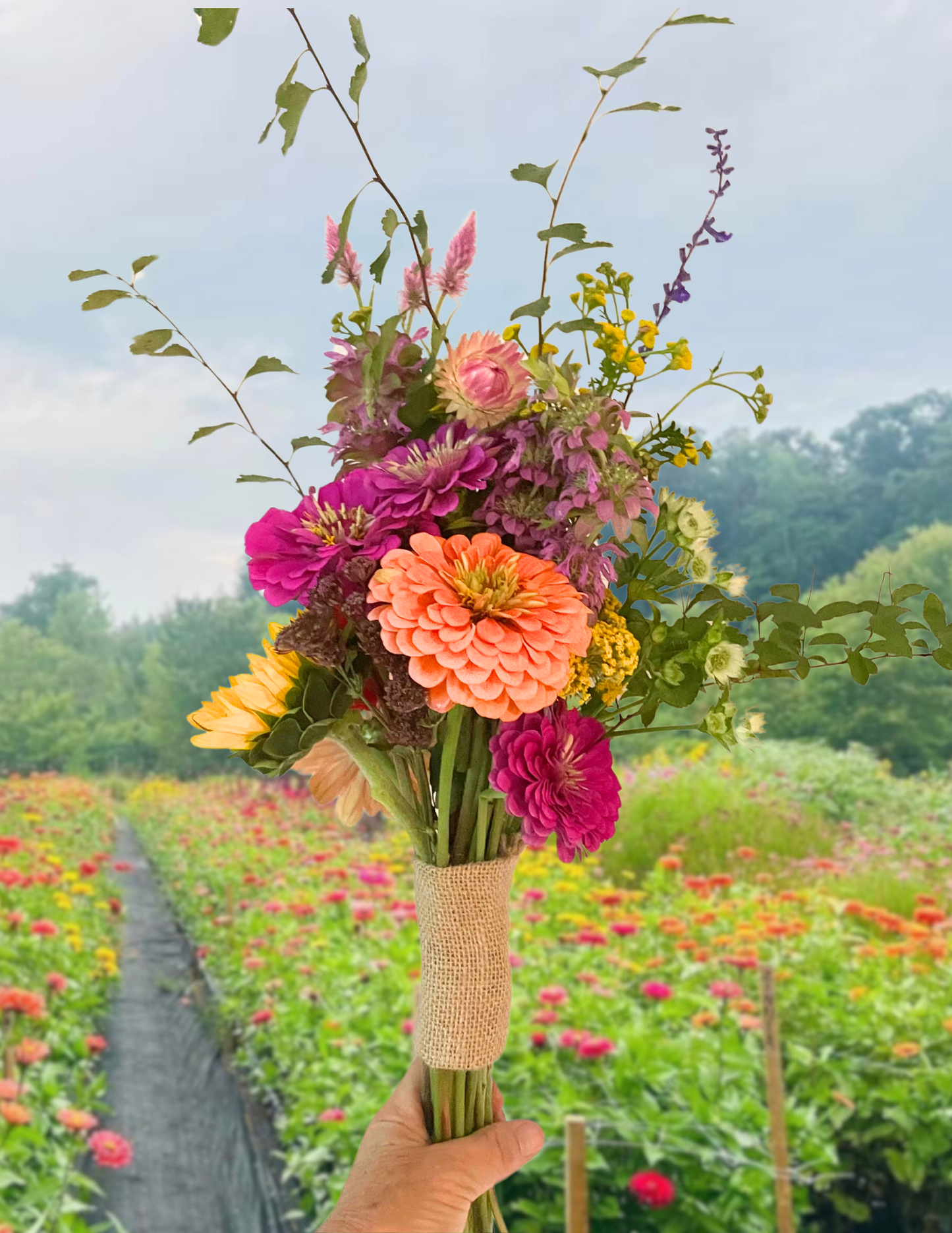 4 Week Summer Bouquet Subscription (every-other week)