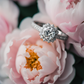 Closeup of a diamond engagement ring set between two pink peony flowers.