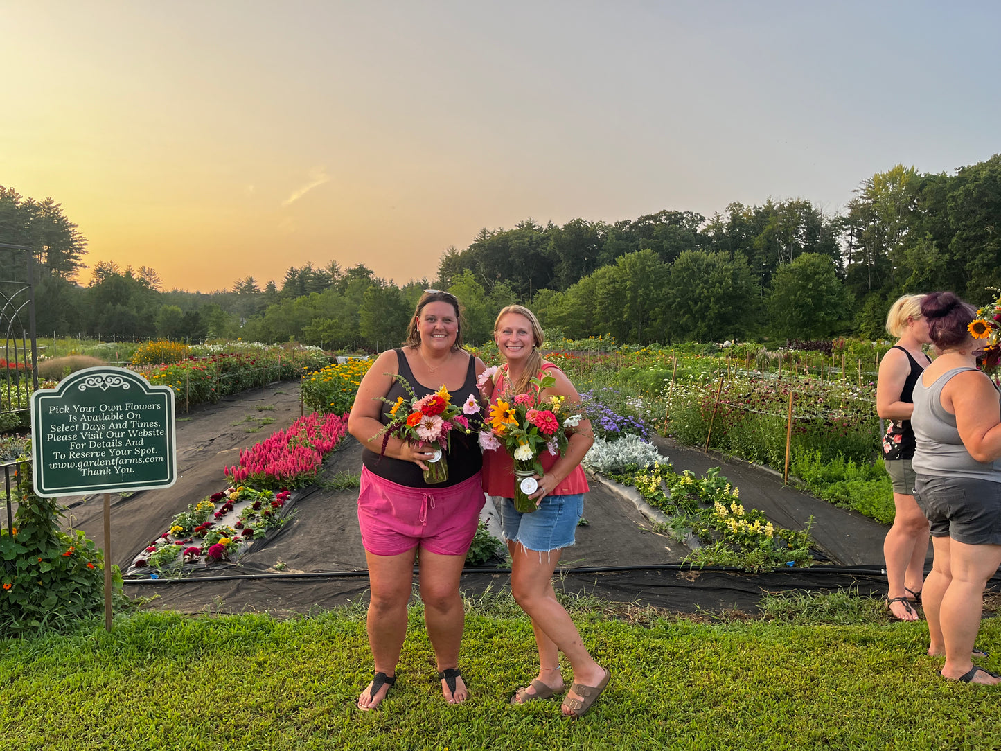 Golden Hour Bouquet Build - July 30th