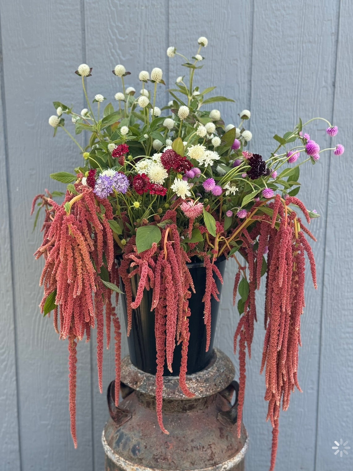 Farmer's Choice Mixed Bucket