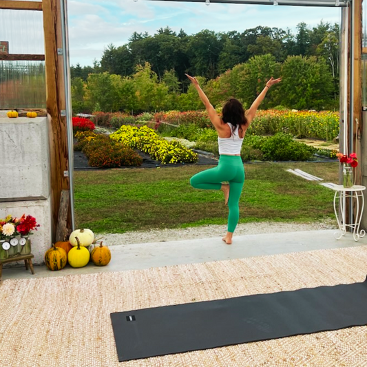 Vinyasa Yoga & Guided Meditation in the Greenhouse