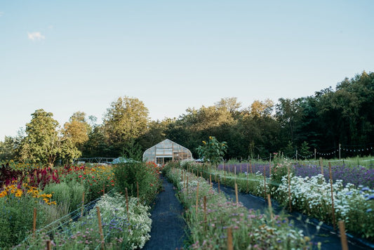 Free Flow Yoga in the Garden