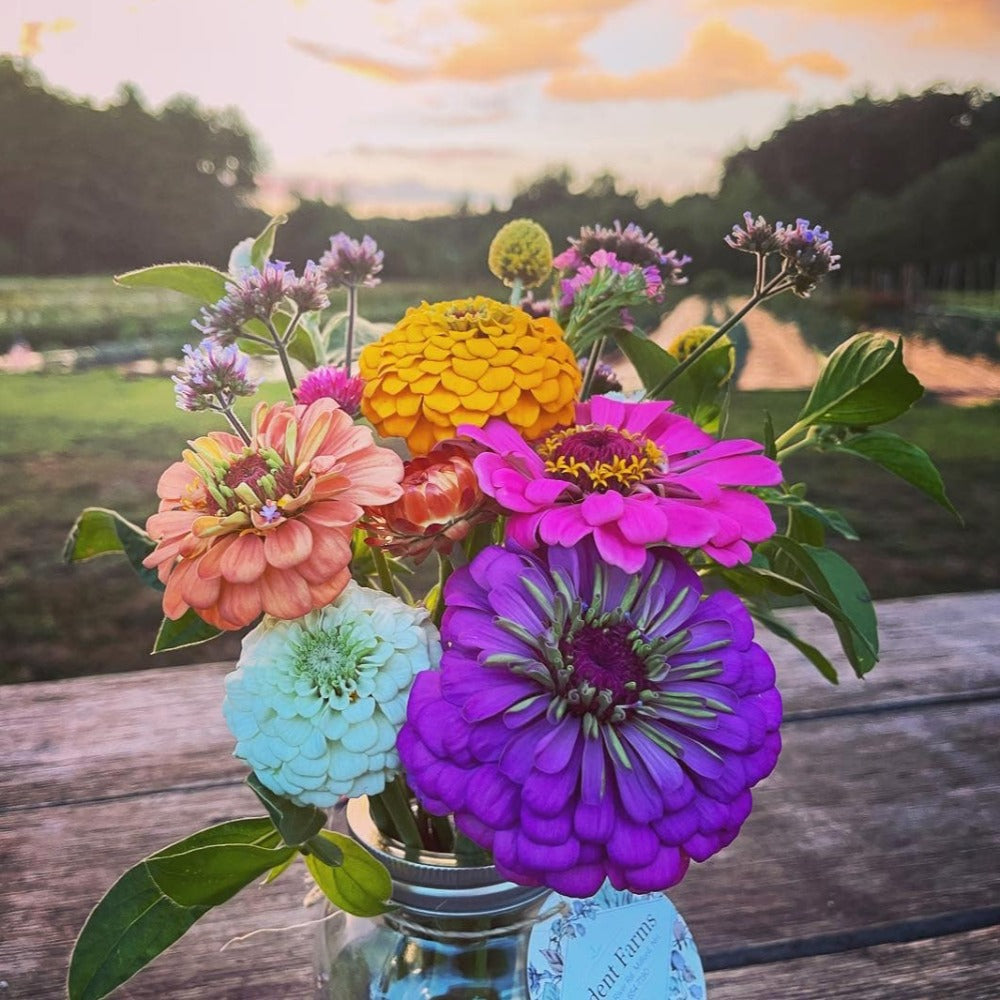 16 Oz. Mason Jar Bouquets